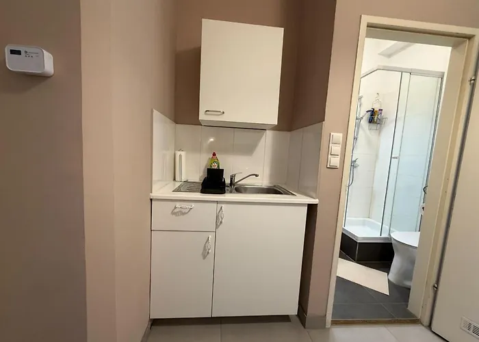 Edle Altbauwohnung Free Parking Garage *